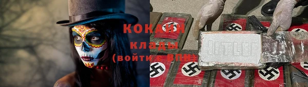 гидра Белоозёрский