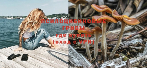 бутират Беломорск